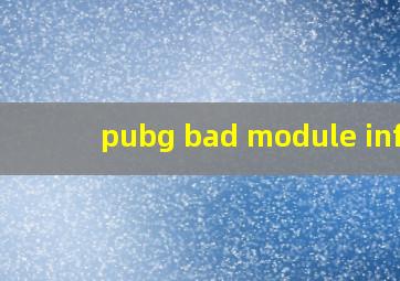 pubg bad module info